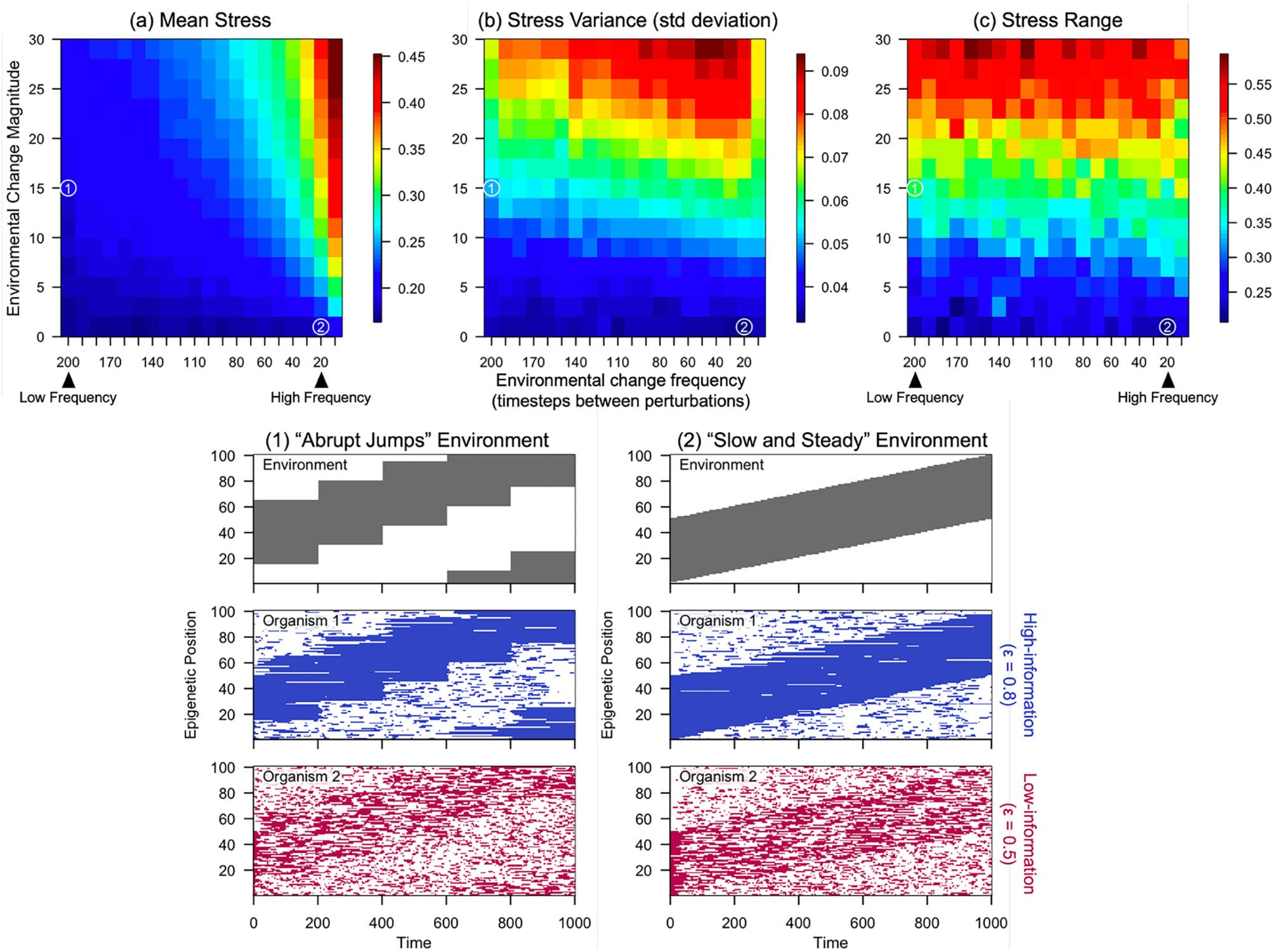 Heatmaps of mean stress, stress standard deviation, and stress range versus environmental change frequency and magnitude, plus raster plots showing a high-information organism closely following the environment and a low-information organism failing to.